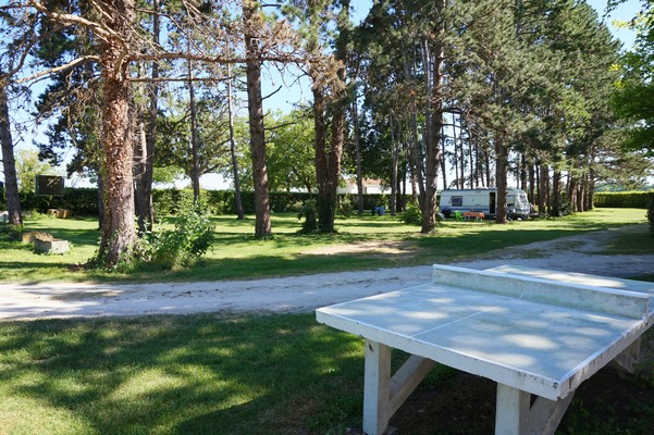 Camping Camping